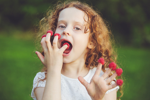 Little girl eating raspberries on her fingers.