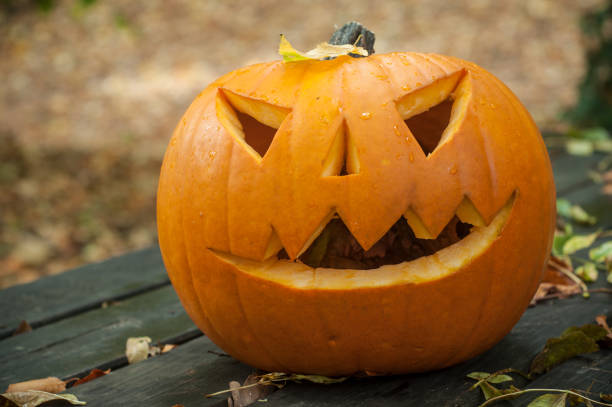 istock halloween pumpkin in the autumnal forest 865401258