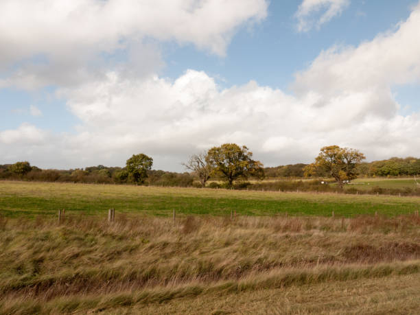 istock empty hill side scene in country with trees in distance and blue and clouded sky 865401998