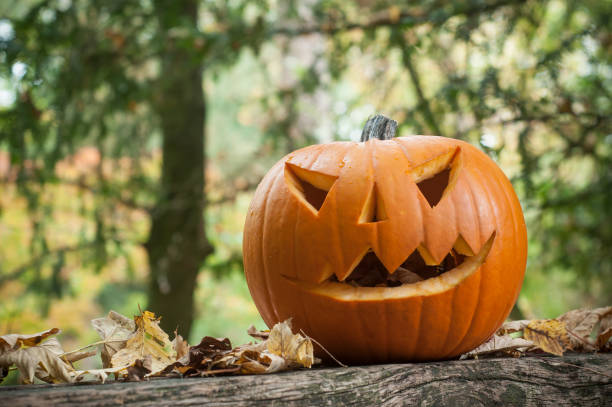 istock halloween pumpkin in the autumnal forest 865406420
