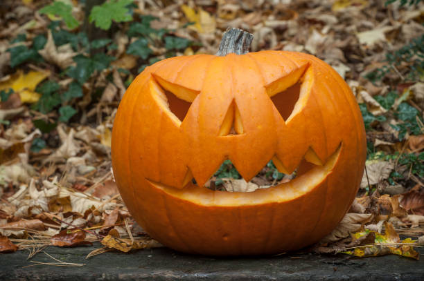 istock halloween pumpkin in the autumnal forest 865406440