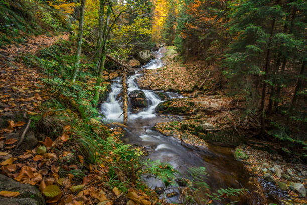 istock Mountain stream with waterfall in an autumn forest. time exposure 865409980