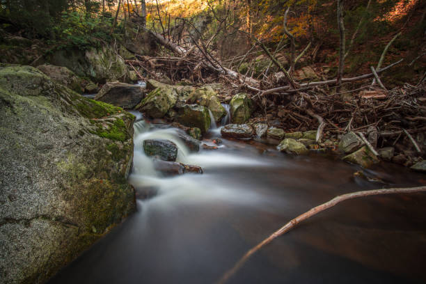 istock Mountain stream with waterfall in an autumn forest. time exposure 865409994