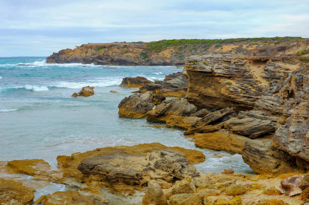 istock Shore of the Pacific ocean 865410970