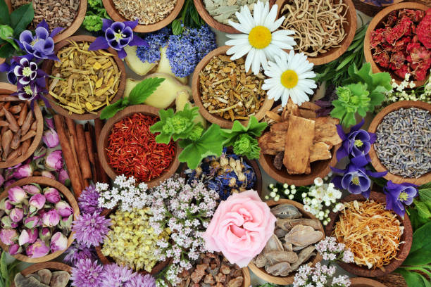 istock Natural Alternative Herbal Medicine 865414478