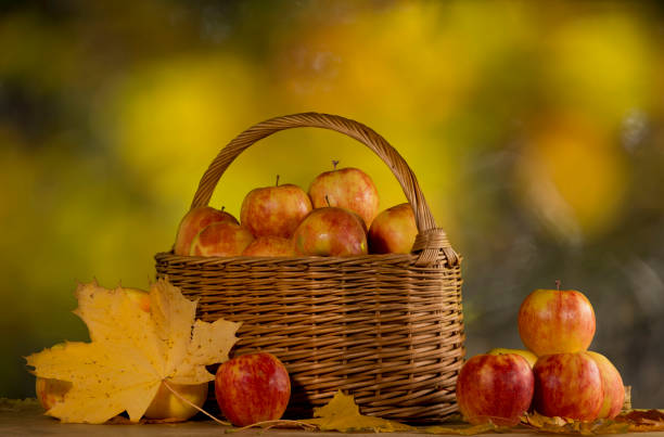 istock A basket of apples 865414678