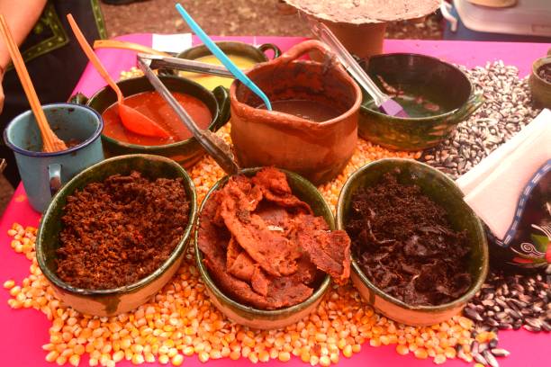 istock Jerky beef and spicy sauces for making Tlayuda in Mexico 865424376