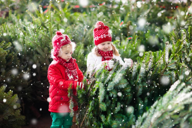 i bambini selezionano l'albero di natale. famiglia che compra l'albero di natale. - snow festival foto e immagini stock