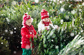 Kids select Christmas tree. Family buying Xmas tree.