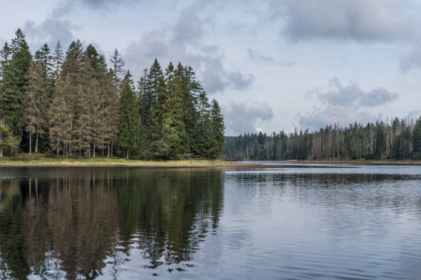 istock The Silberteich lake  in Harz, Germany 865431268