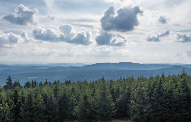 istock The landscape of mountain in Harz, Germany 865431478