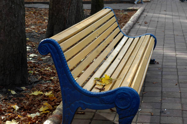 istock Colorful leaves on a bench in a park. Autumn background 865432258