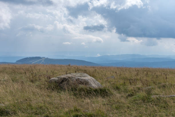 istock The landscape of mountain in Harz, Germany 865432312