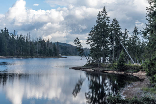 istock The Silberteich lake  in Harz, Germany 865432652