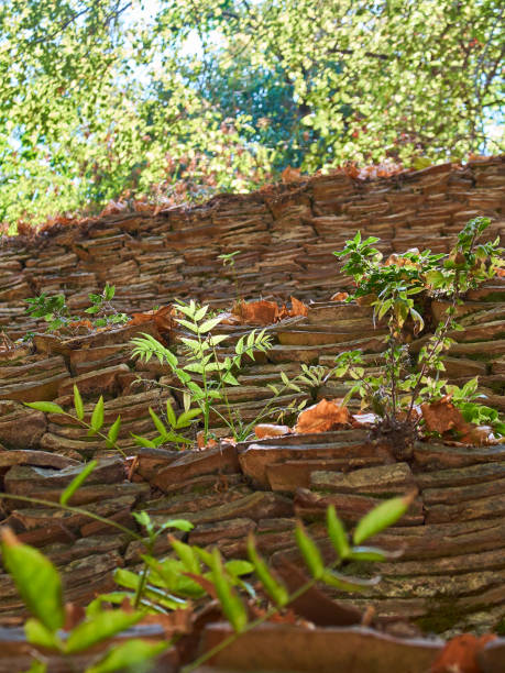 Monte Testaccio or dei Coccil in Rome. Lazio, Italy. Remains of Monte Testaccio or Monte dei Coccil, an artificial hill in Rome composed of fragments of broken amphoras dated from Roman Empire. Rome, Lazio, Italy. museo stock pictures, royalty-free photos & images