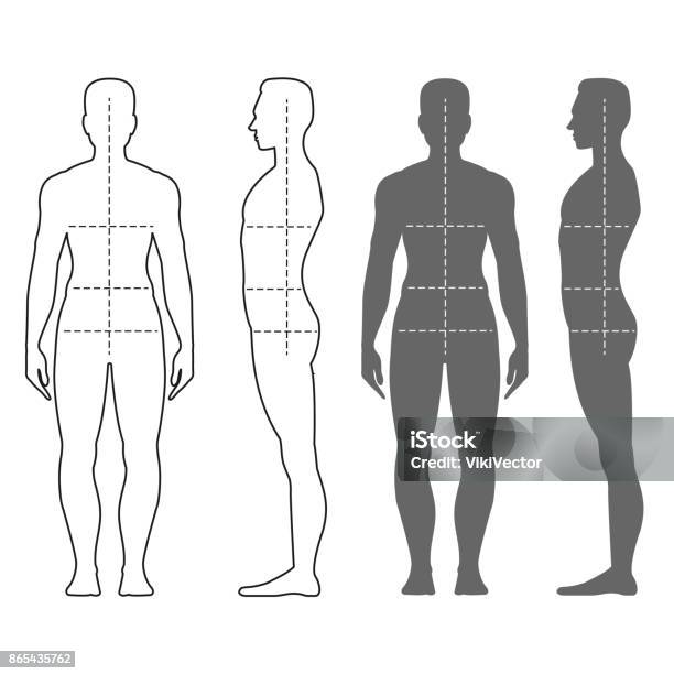 Vetores de Silhueta De Homem Moda e mais imagens de Corpo humano - Corpo humano, Medindo, Contorno