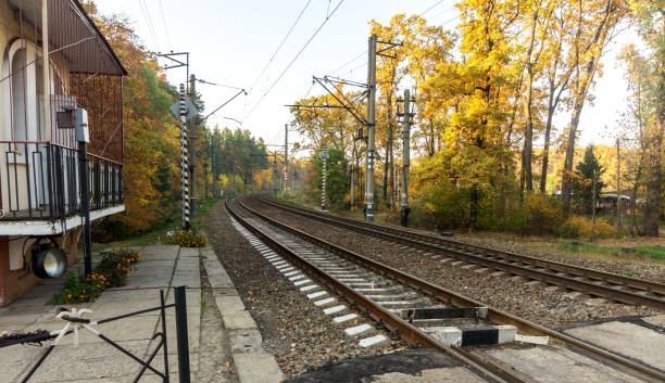 istock Railroad tracks on the background of autumn forest 865436032