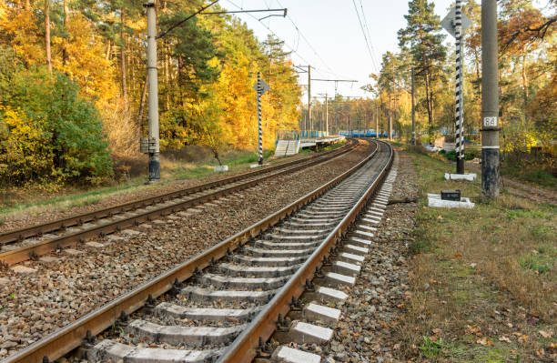 istock Railroad tracks on the background of autumn forest 865436320