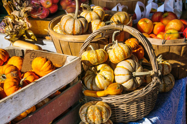 istock Pumpkins, Apples and Gourds 865436566