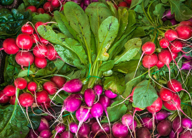 istock Red and Purple Radish 865439298