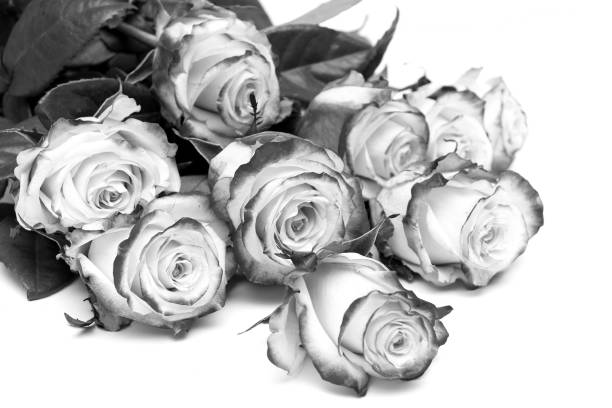 istock bouquet of roses on a white background 865442866