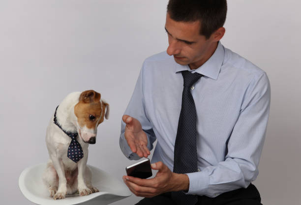 Funny businessman portrait. Man and dog in business team situations, teamwork, business concept. Funny businessman portrait. Man and dog in business team situations, teamwork, business concept. pet behavioral experts stock pictures, royalty-free photos & images