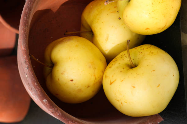 Apples - UK