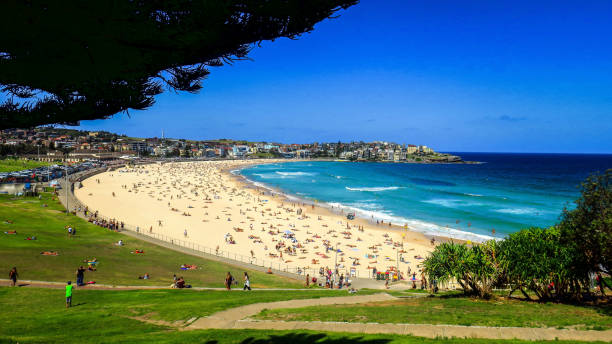 istock Visitin Bondi Beach in Sydney 865448886