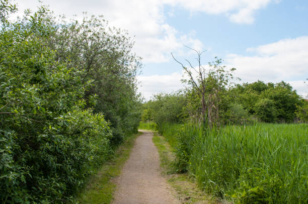 istock path in the Danish nature in Ballerup 865456314