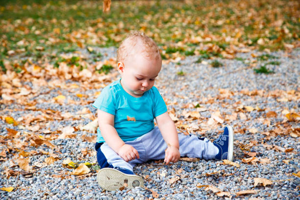 istock Little boy playing with autumn leaves 865460570