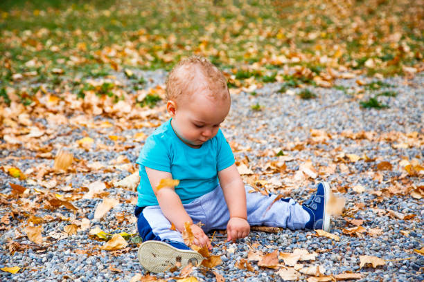 istock Boy playing with leaves in autumn 865460698