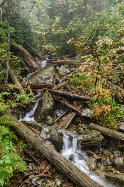 istock Waterfall from ravine in autumn, long exposure 865470932