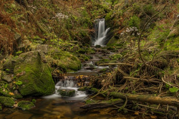 Javori waterfall on Javori creek in Krkonose mountains stock photo