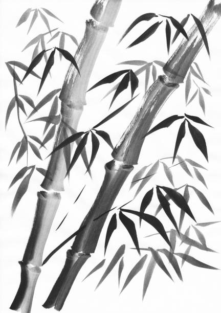 Bamboo two stalks painting vector art illustration