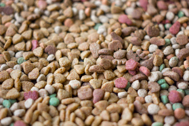 istock Dry pet food background. 865477336