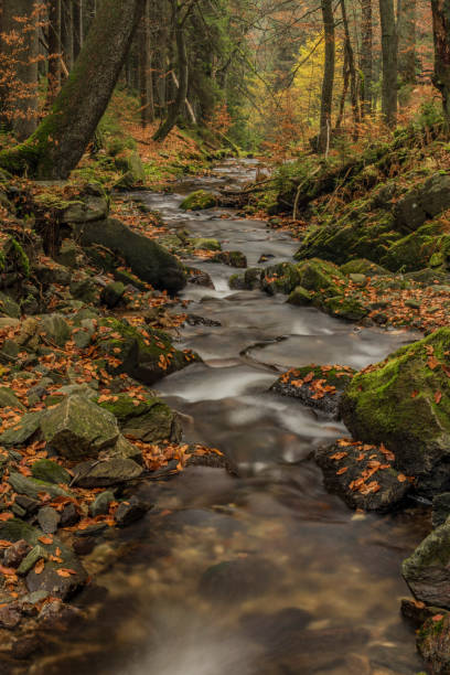 istock Waterfalls on river Cista in Krkonose mountains 865477860