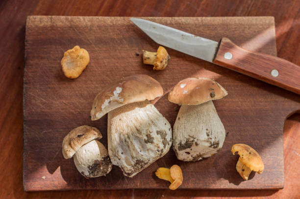 istock chanterelles and Boletus edulis on wooden desk 865482986
