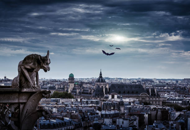 ハロウィーンの日フランス パリ - paris france notre dame night ile de la cite ストックフォトと画像