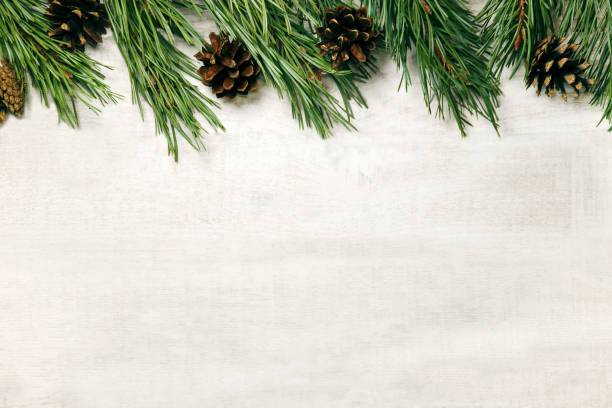 istock White wooden Christmas background. Border decorated pine branches.  Rustic design. Winter picture. Holiday card with copyspace 865489492