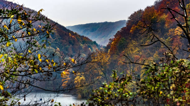 istock Autumn landscape, colorful forest 865493244