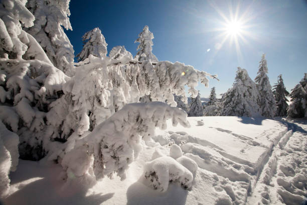 istock Snowy winter landscape with footsteps 865493330