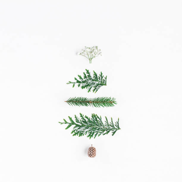 istock Christmas tree made of winter plants. Flat lay, top view 865494114