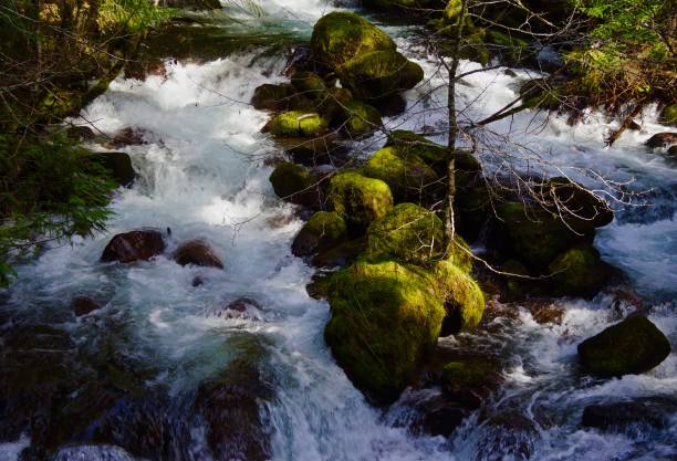 istock Puzzle Creek Green Rocks 865506778