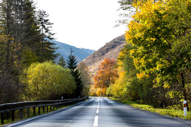 istock Asphalt road and colorful autumn trees. 865509554
