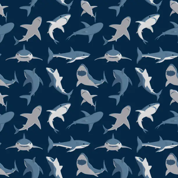 Vector illustration of Vector illustration toothy swimming angry shark animal sea fish character underwater cute marine wildlife mascot seamless pattern background