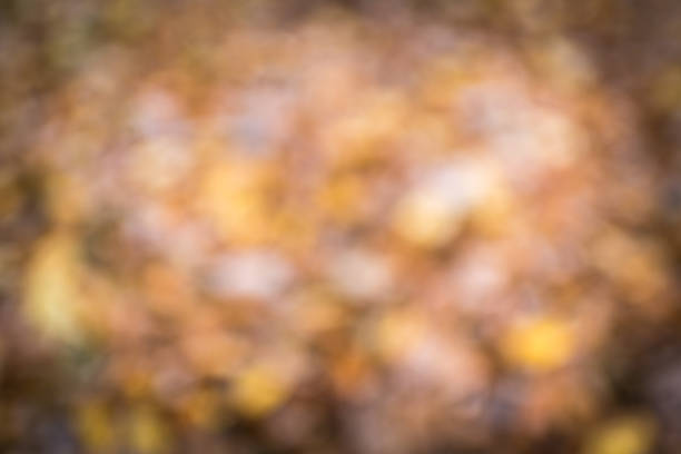 istock Abstract blurred autumn background, color, vignette 865515890