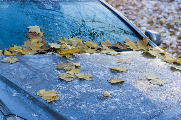 istock Autumn leaves on a car covered with frost 865520742