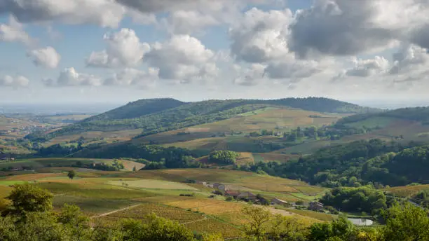 Photo of Landscape of Beaujolais