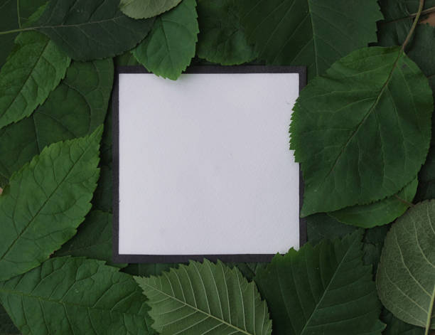 istock Background of green leaves with a paper 865526702