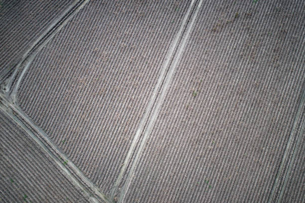 istock Harvested field - aerial view 865526836